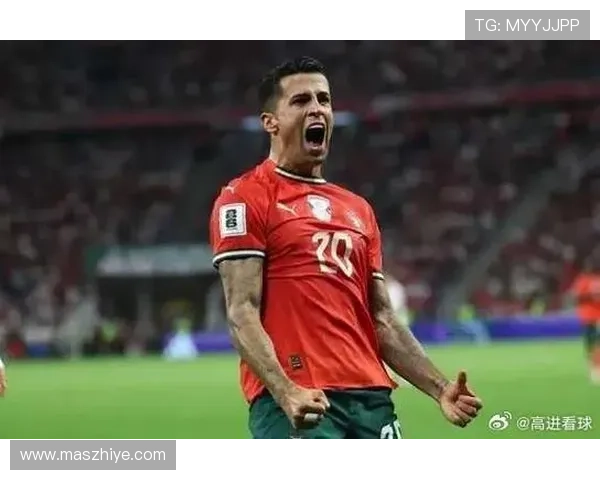 坎塞洛比赛稳定性 坎塞洛比赛稳定性